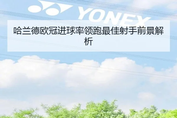 哈兰德欧冠进球率领跑最佳射手前景解析